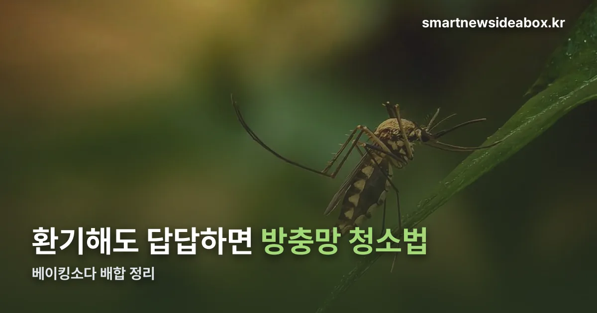 방충망 청소법 정리 썸네일