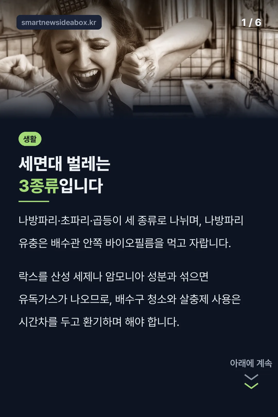 세면대 벌레는 3종류입니다