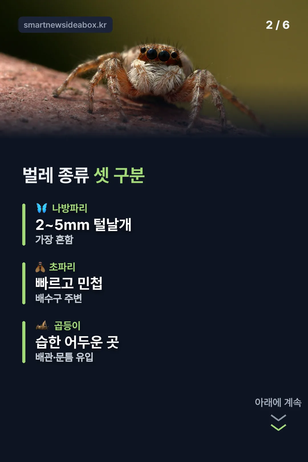 벌레 종류 셋 구분