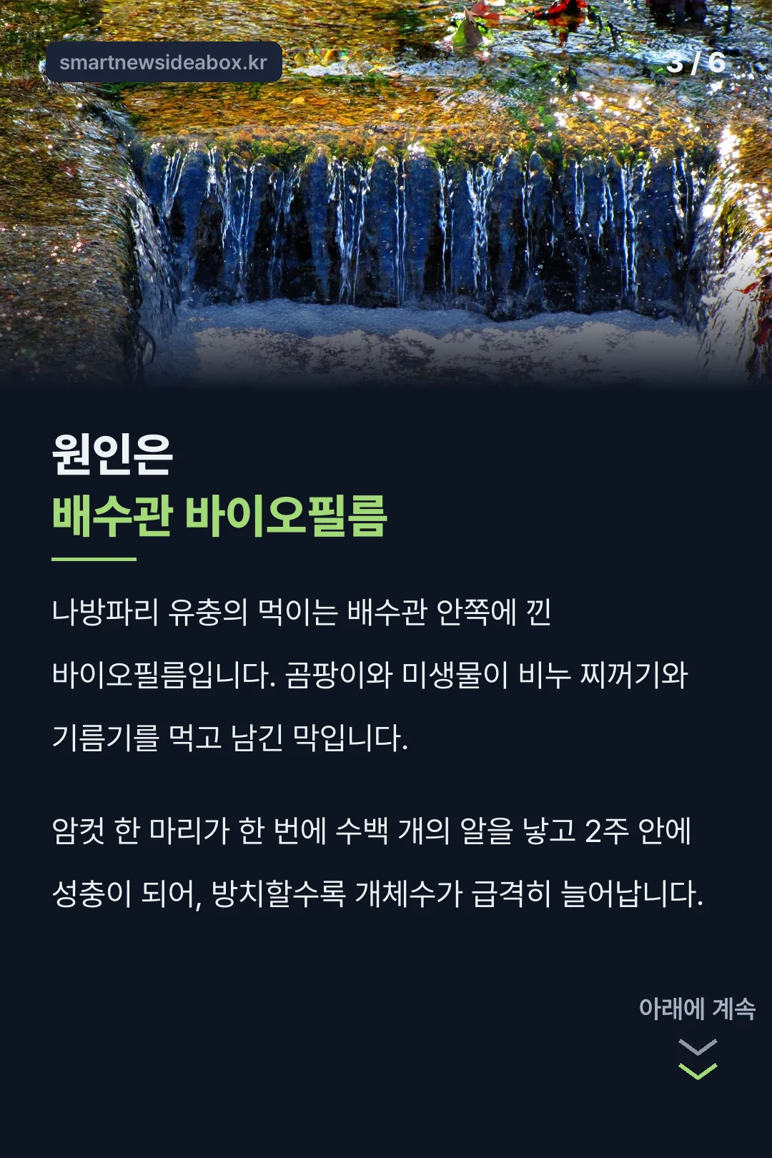 배수관 바이오필름 원인