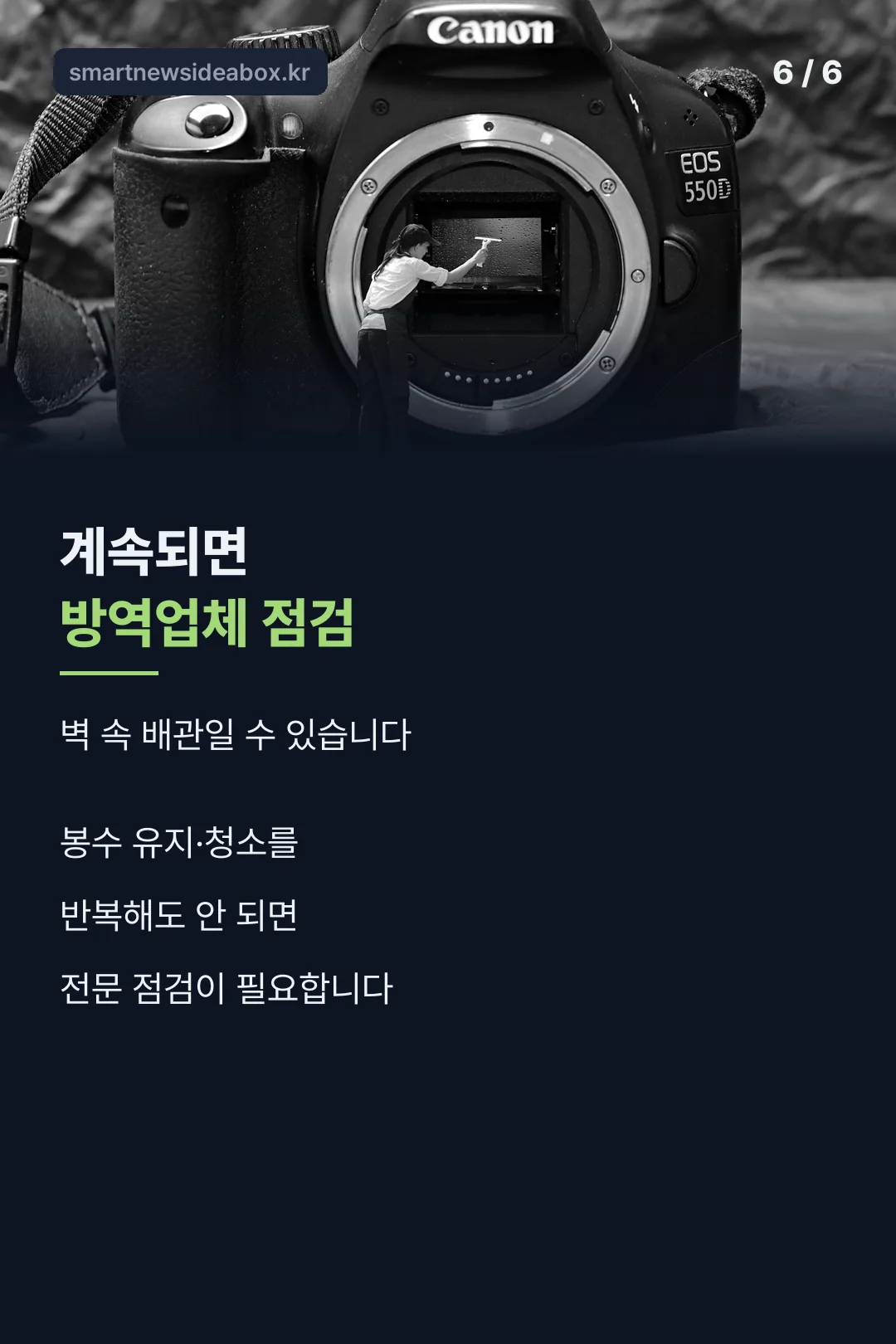 방역업체 점검 안내