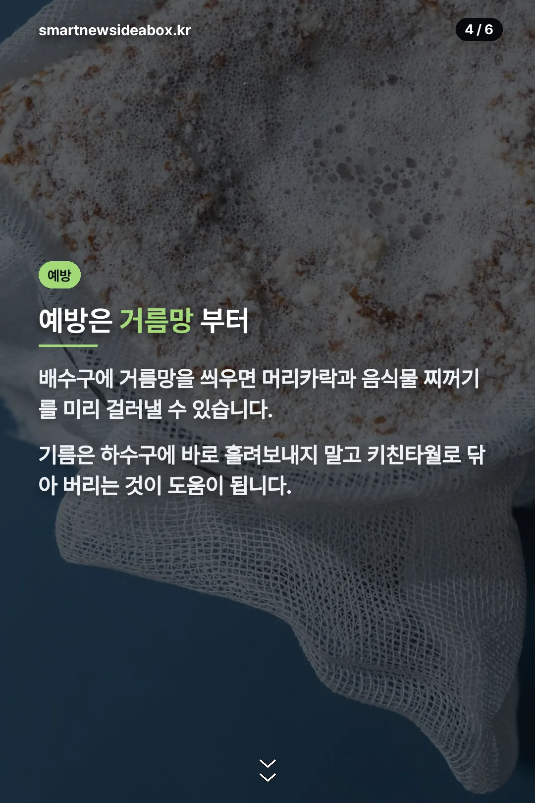 거름망 예방법