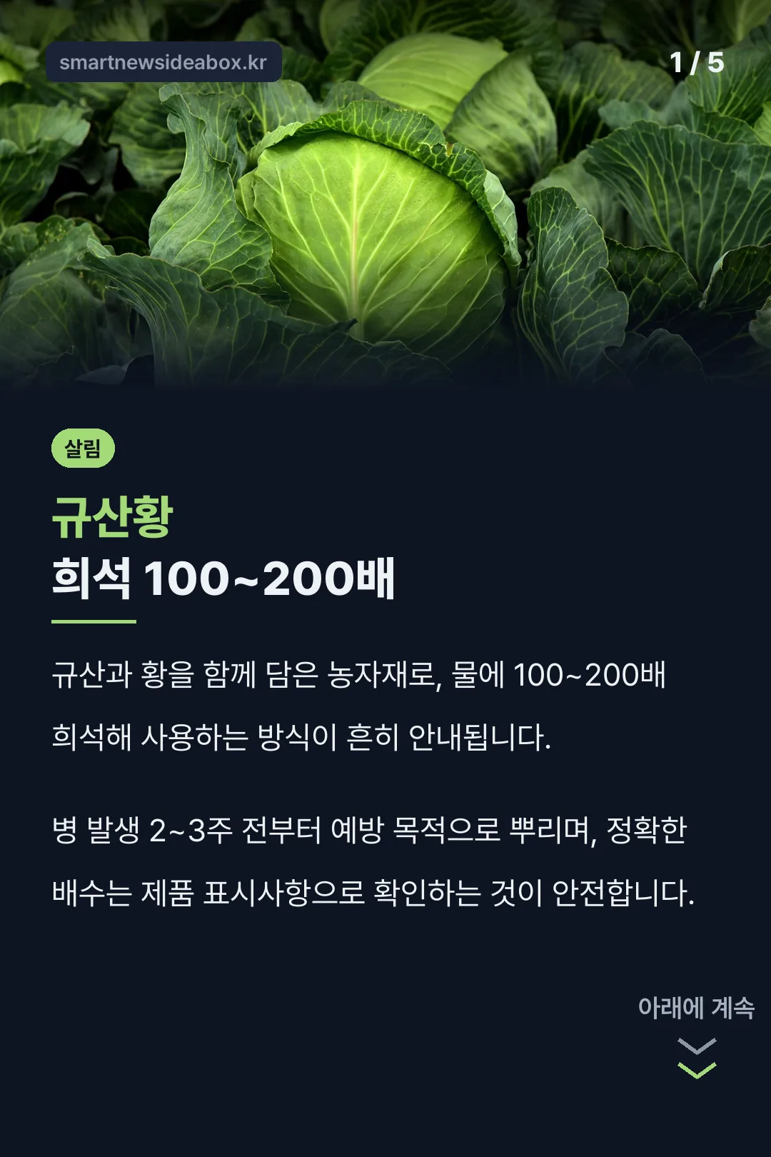 규산황 희석 100~200배