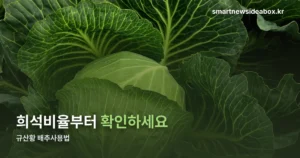 규산황 배추사용법 — 희석 비율과 살포 시기부터 확인하세요