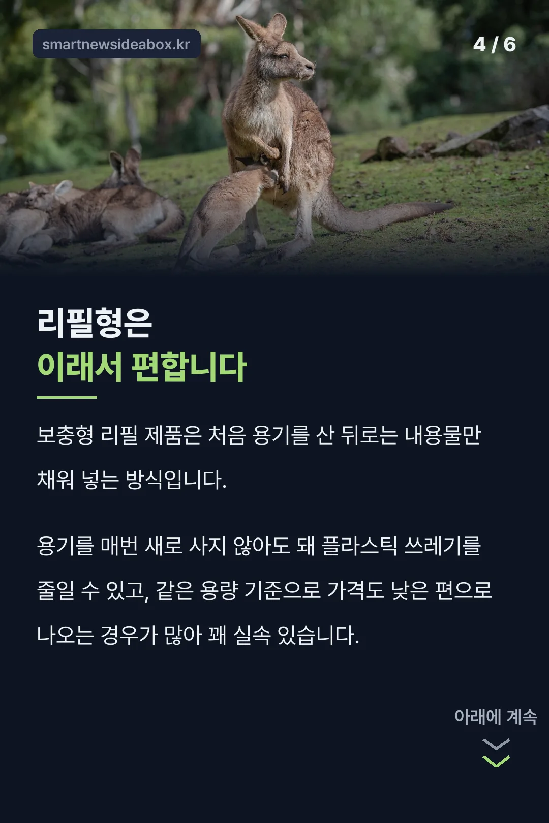 리필형 장점