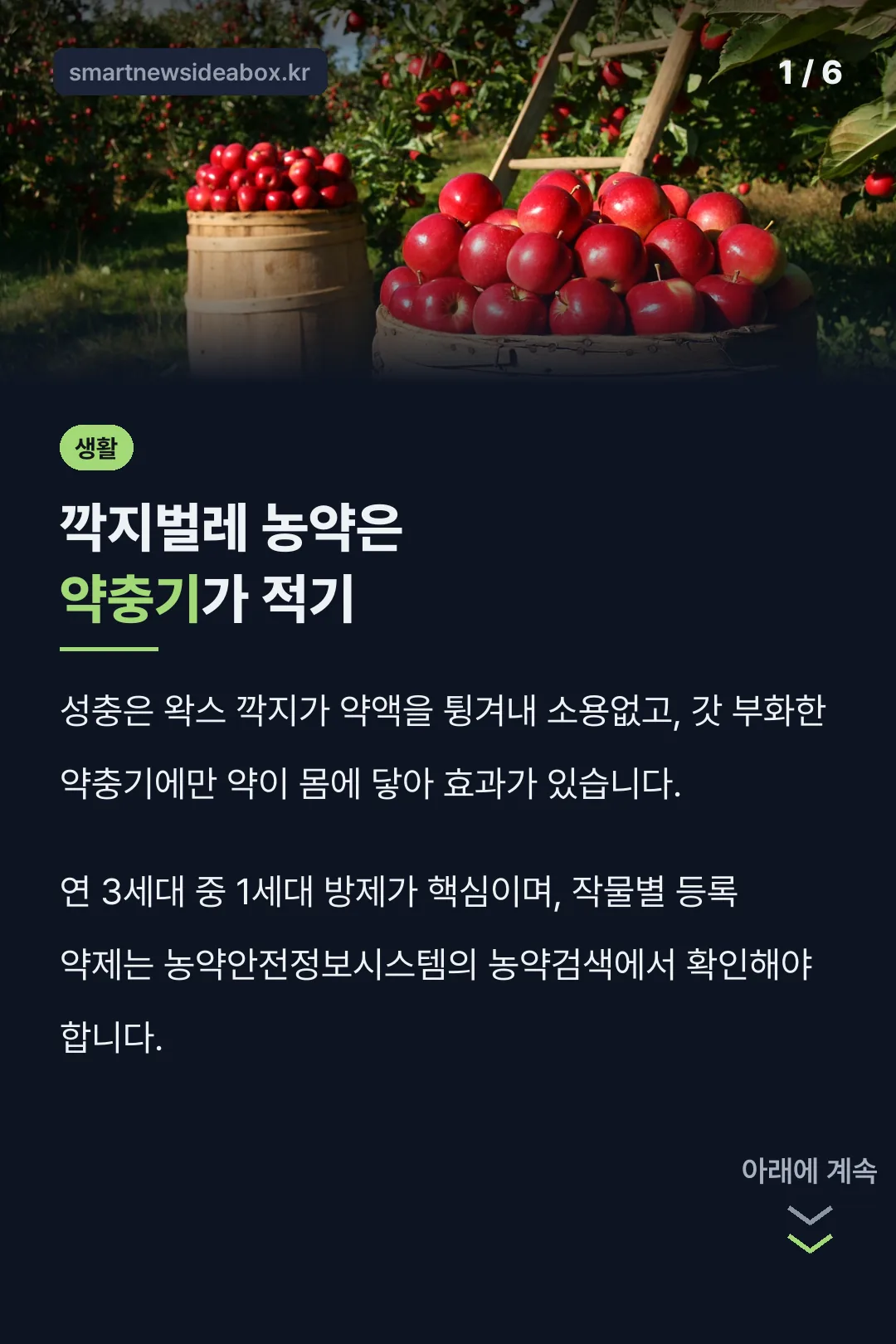 깍지벌레 농약은 약충기가 적기