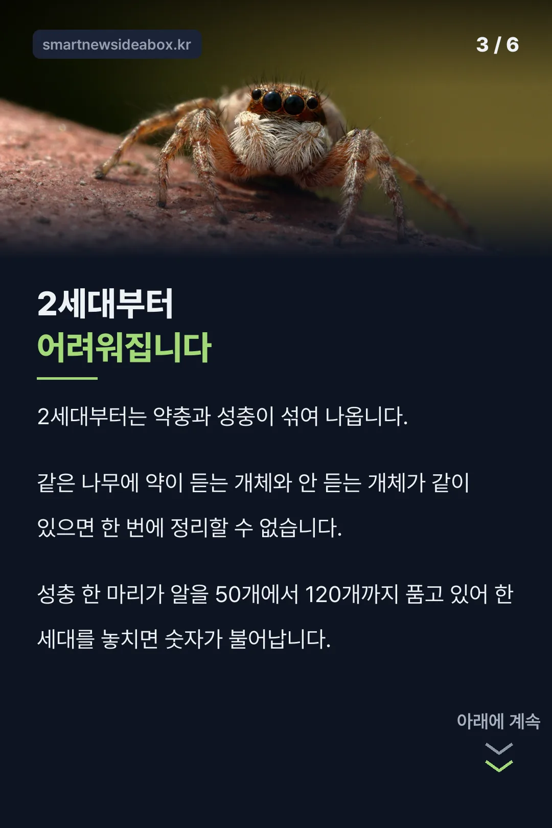 2세대부터 어려워지는 이유