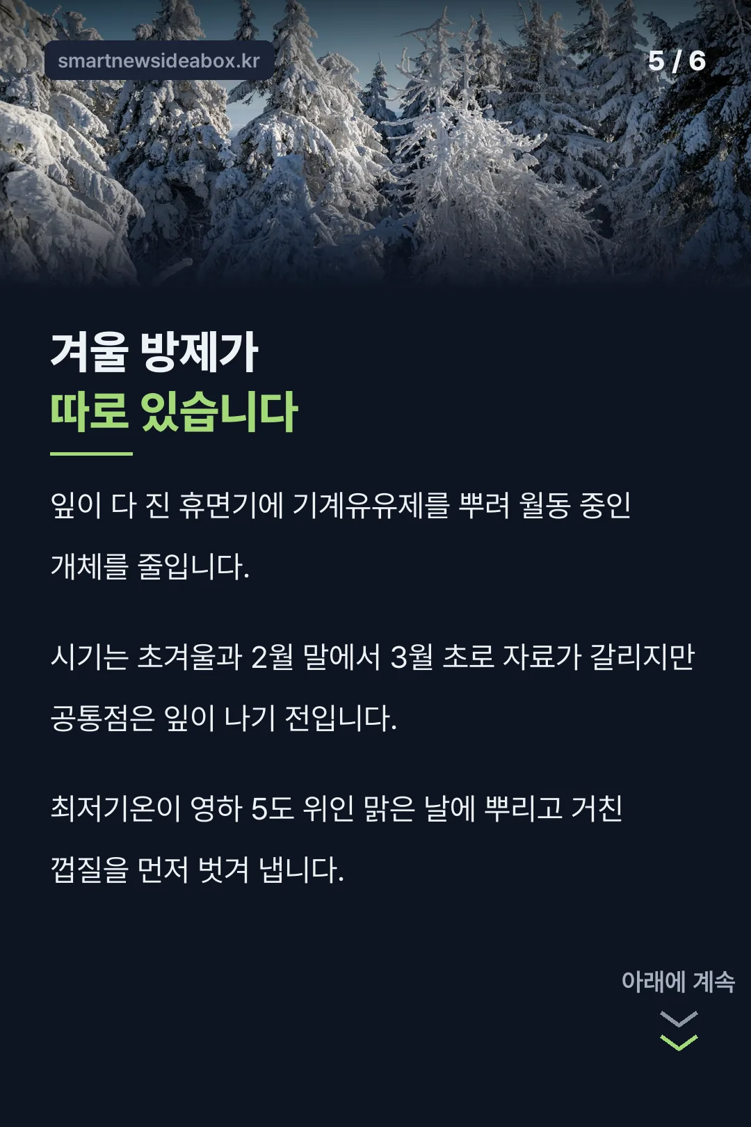 겨울 휴면기 방제