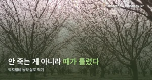 깍지벌레 농약 — 안 죽는 게 아니라 뿌리는 때가 틀린 겁니다