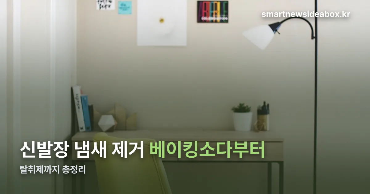 신발장 냄새 제거 정리 썸네일