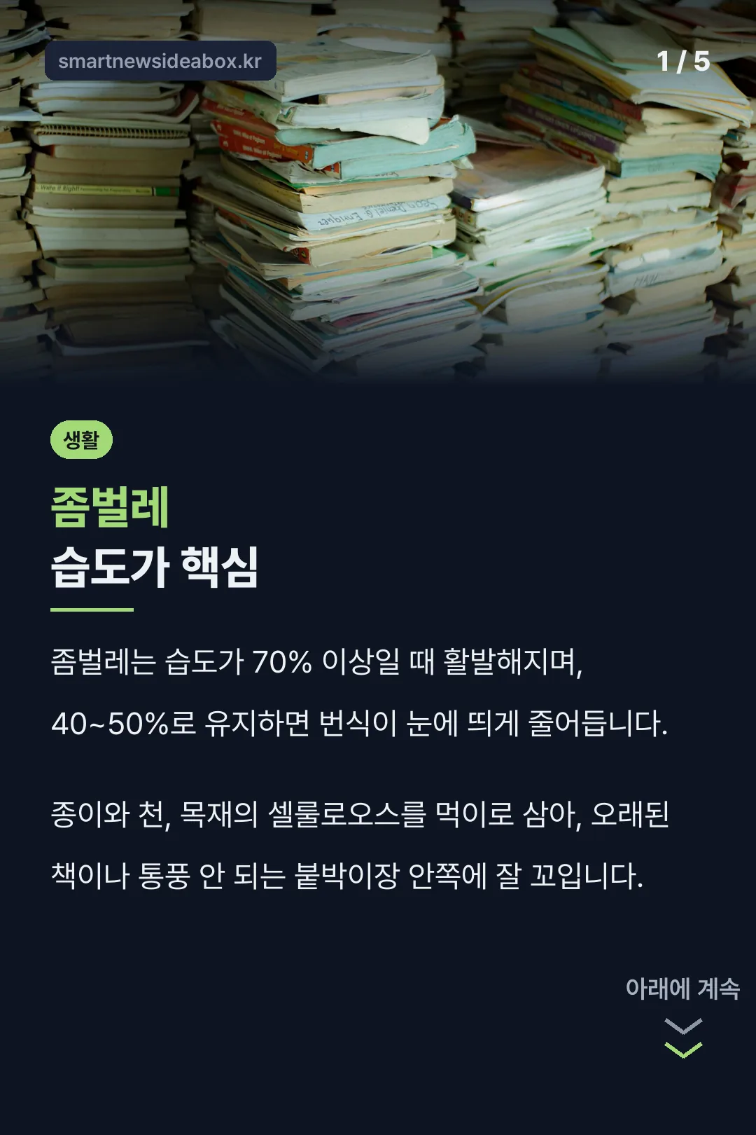 좀벌레 습도가 핵심