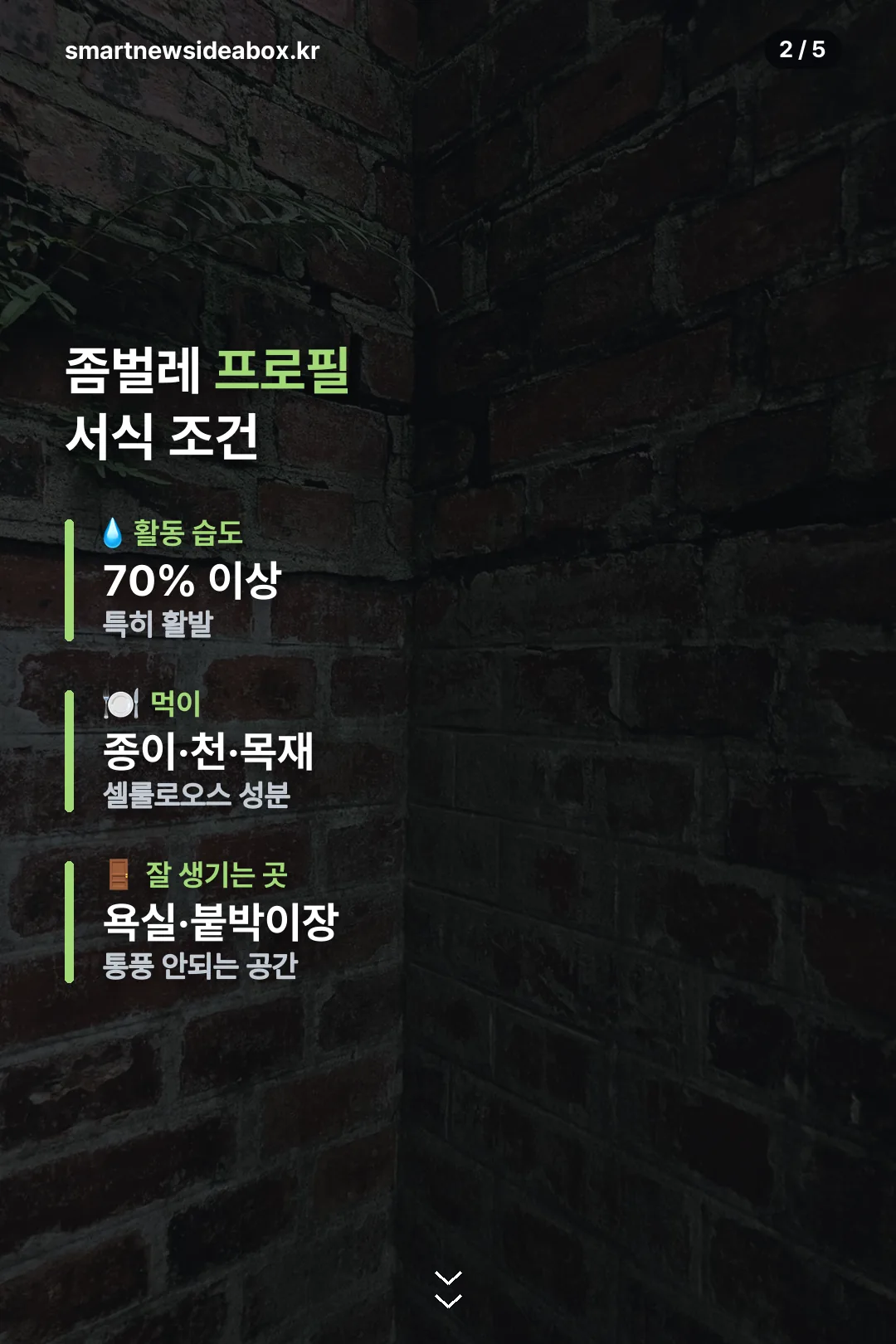 서식 조건 한눈에
