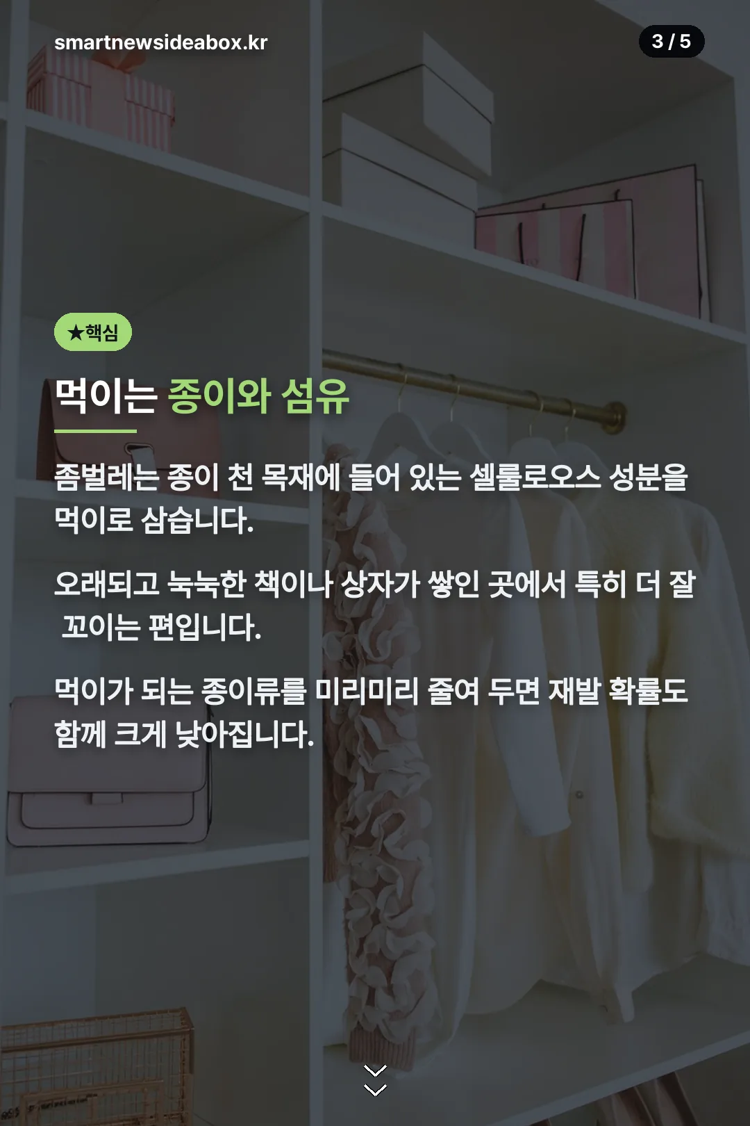 먹이는 종이와 섬유