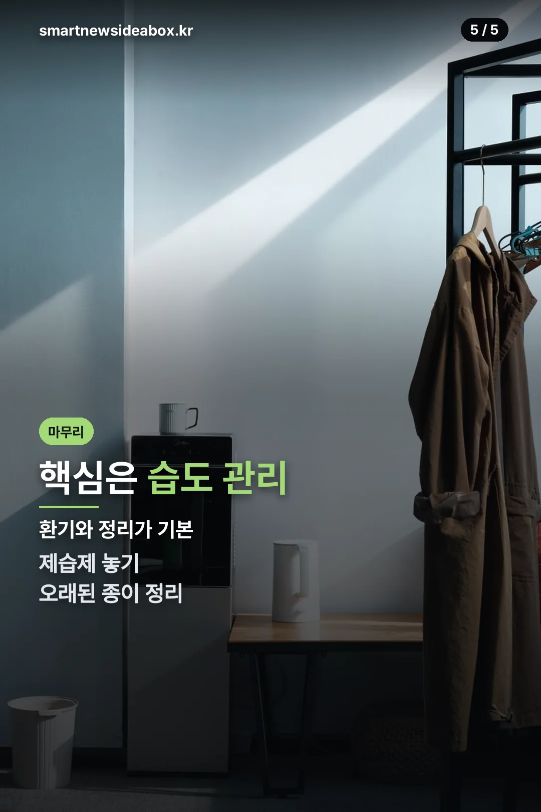 관리 요약