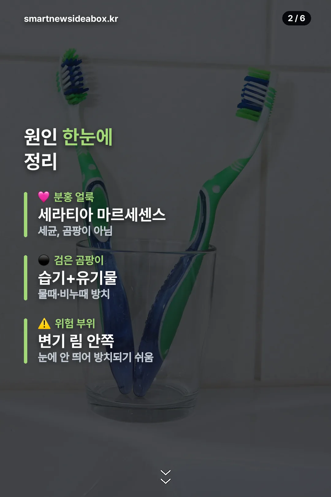 원인 한눈에 정리