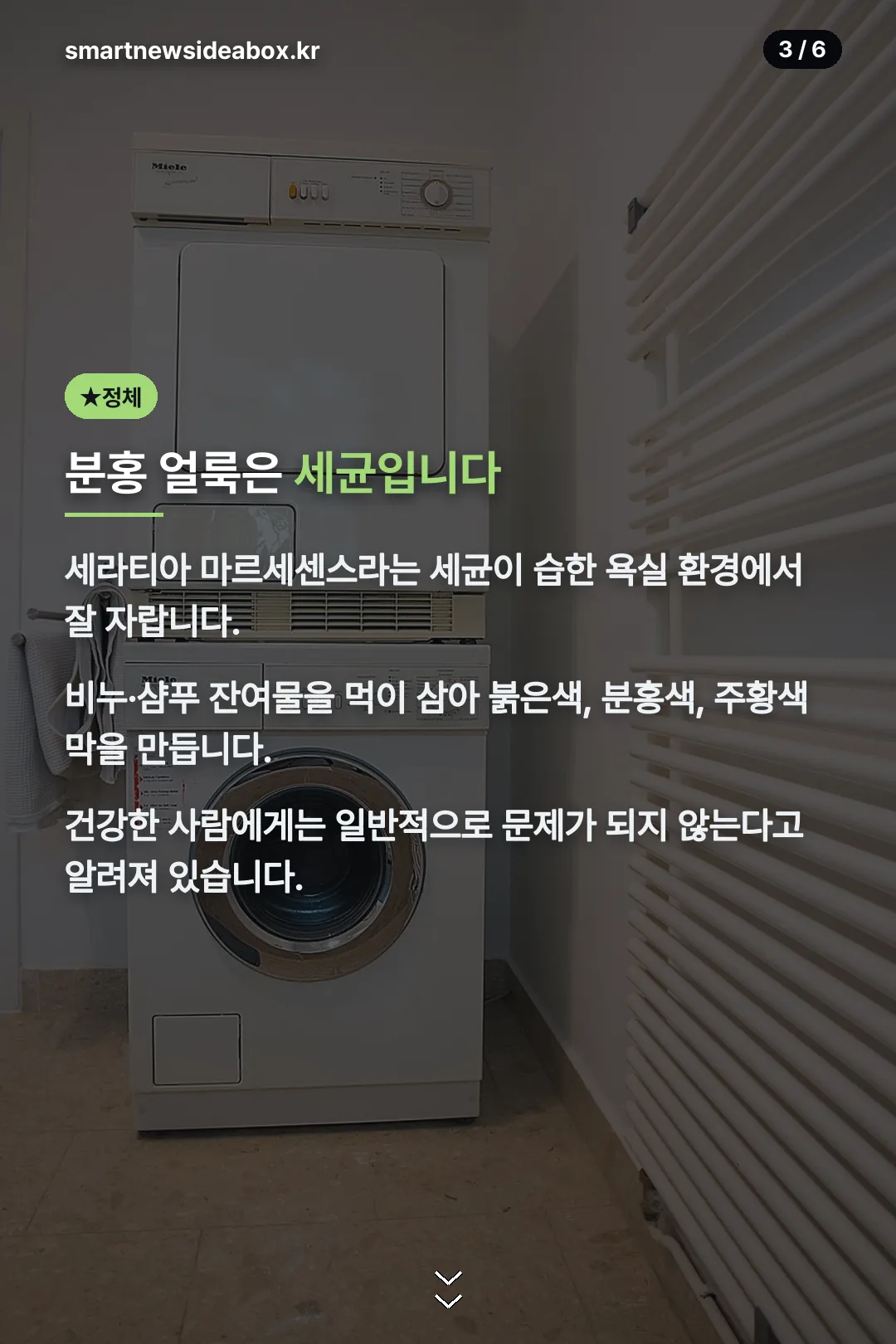 분홍 얼룩의 정체