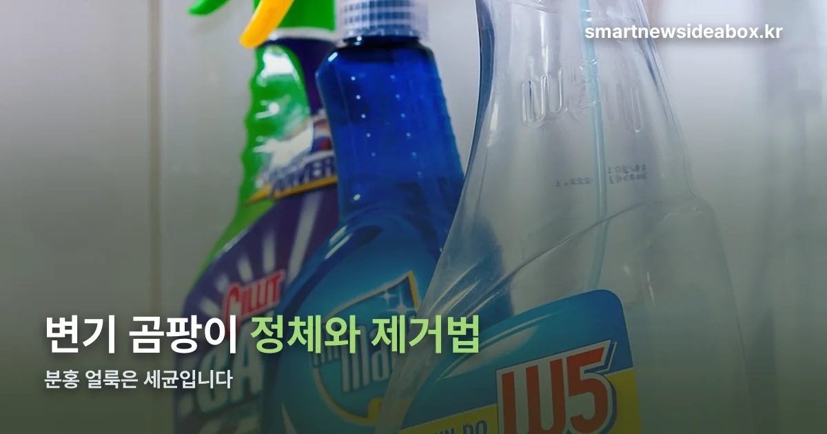 변기 곰팡이 정리 썸네일