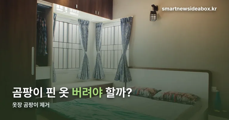 옷장 곰팡이 정리 썸네일