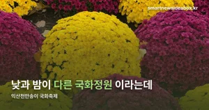 익산천만송이 국화축제 2026 — 10월 23일~11월 1일, 야간 빛조형물 총정리