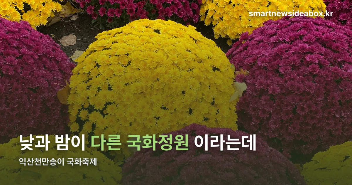 익산천만송이 국화축제 정리 썸네일