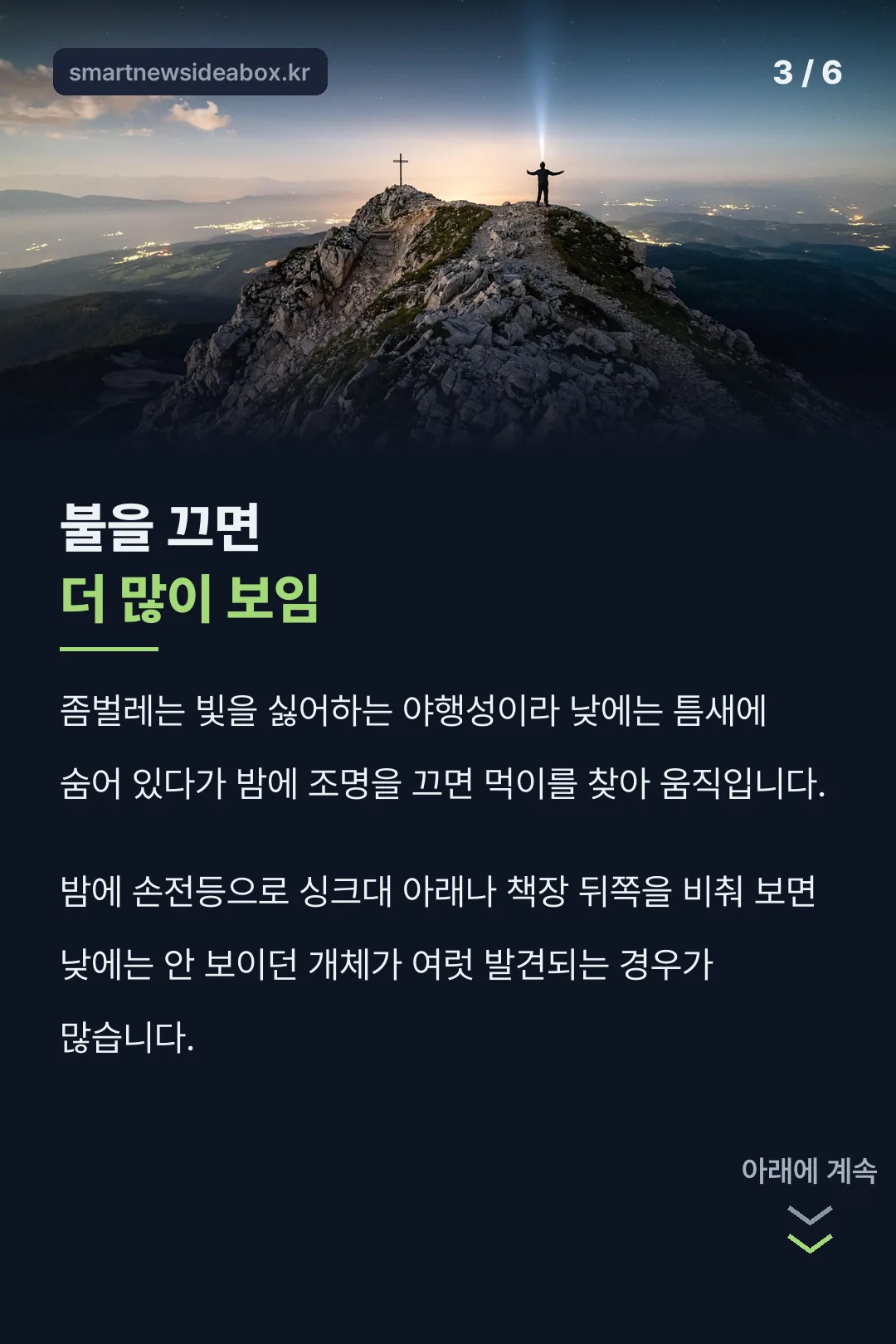 밤에 더 보이는 습성