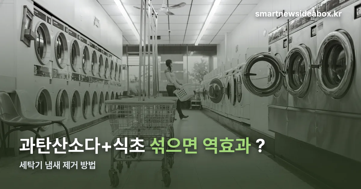 세탁기 냄새 제거 정리 썸네일